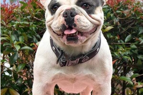 Lucy Lucy