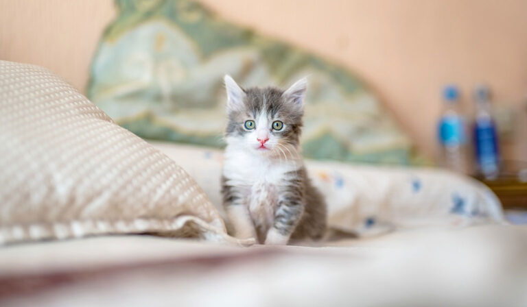 blog_4 single image